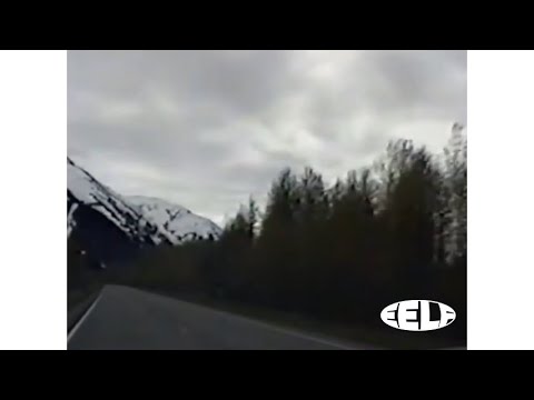 Magnetic Family - Northern Skies