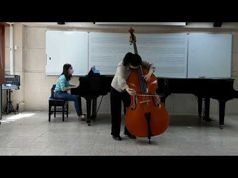 Vanhal : Bass Concerto in D Major, Mvt.3