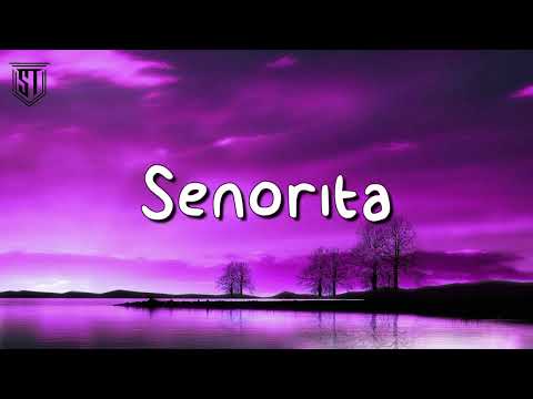 Shawn Mendes, Camila Cabello - Señorita (Tik Tok, Mix 2023)
