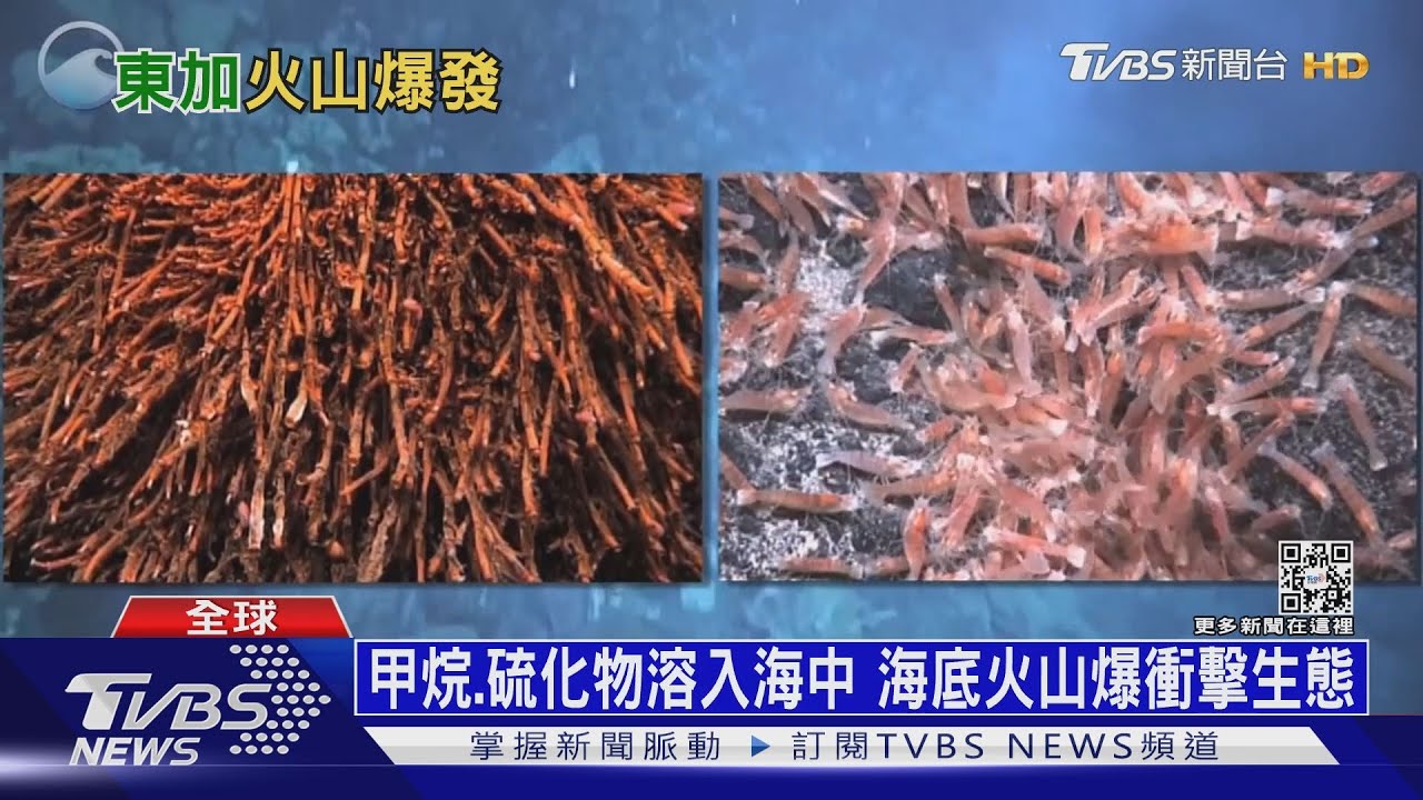 東加海底火山噴發毒氣洩大海　恐影響海洋生態
