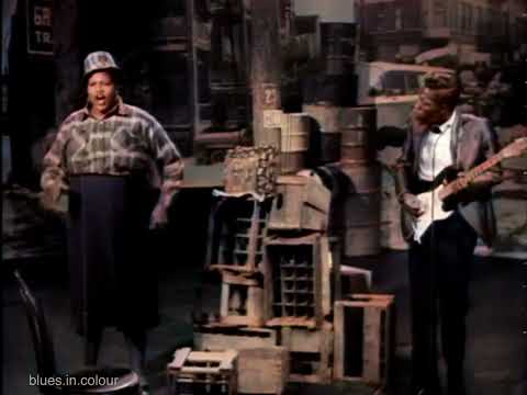 Thumbnail for Big Mama Thornton - 'Hound Dog' live [Colourised] 1965 by Johnny Otis, Memphis Minnie, Big Mama Thornton, Muddy Waters, Lightnin' Hopkins, Johnny Ace, Songwriter, Junior Parker