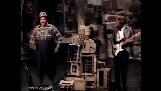 Big Mama Thornton - 'Hound Dog' live [Colourised] 1965