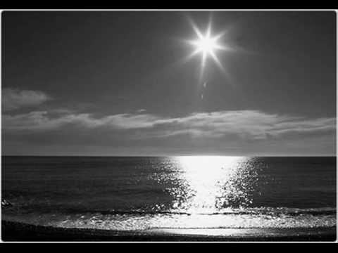 Friedenauer 41 - Better Dayz [Newcomer]