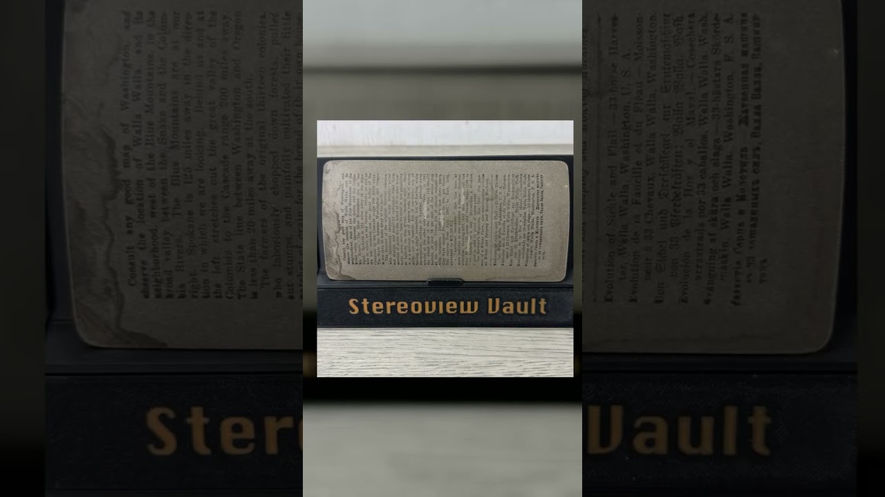 Underwood Stereoview #6568 Harvesting Scene Walla Walla Washington c.1902 Video