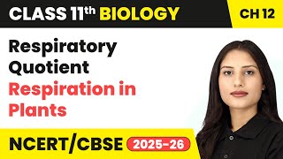 Respiratory Quotient - Respiration in Plants | Class 11 Biology Chapter 12 | CBSE 2024-25