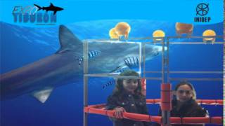 DIA 2 Expo Tiburon44