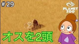 ライオンさんいらっしゃいませ《プラネットズー/初見》女性実況 #29