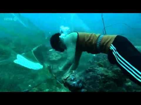 BBC  Human Planet Oceans   Pa aling divers in Phillipines