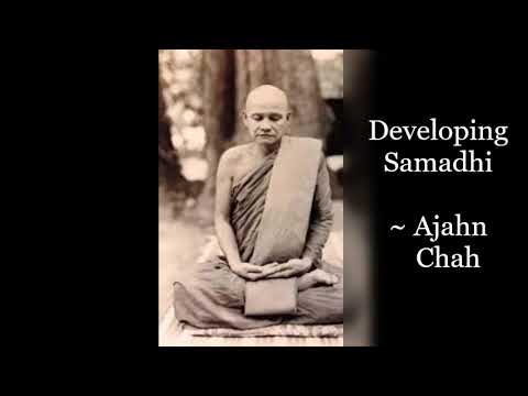 Ajahn Chah ~ Developing Samadhi (One Pointedness) ~ Theravadin Buddhism Forest Tradition