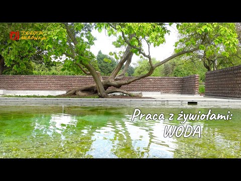 Praca z żywiołami: WODA #81