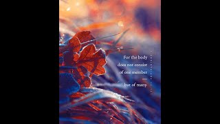 1 Corinthians 35 - A Different (Better) Body