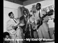 Elmore James - My Kind Of Woman 