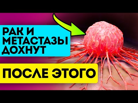 Учёные: чтобы рак и метастазы засохли, больше не появлялись - эти продукты нужно добавить в рацион