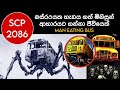 මිනිස්සු ආහාරයට ගන්න Bus එකක්ද ඇයි මිනි�