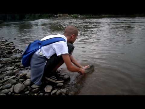 Release Bucov/Asp 64 cm