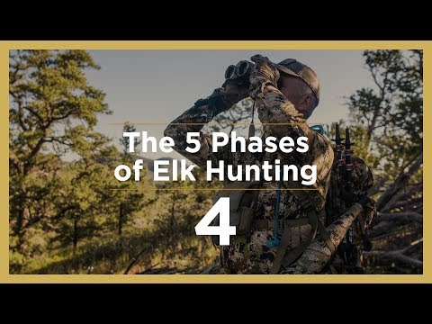 POST-RUT | The 5 Phases of Elk Hunting