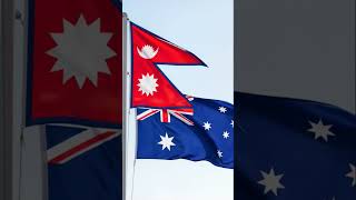 #DreamScreenAI #music #funny #lifeisbutadream #cruiseship #dreamscreenai #whowillbemylifepartnerta