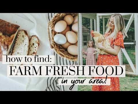 The Secret to Eating Healthier: How to Find FARM FRESH FOOD Near You | Becca Bristow MA, RD, LDN