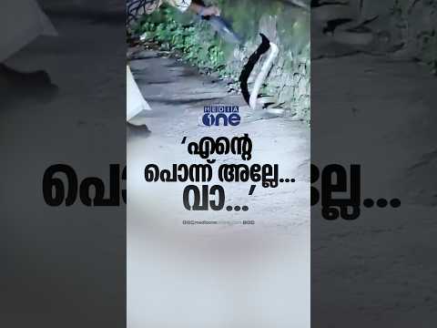 'എ​ന്റെ പൊന്ന് അല്ലേ... വാ...' മൂർഖൻ പാമ്പിന് മുന്നിൽ നാട്ടുകാര​ന്റെ അഭ്യാസം...