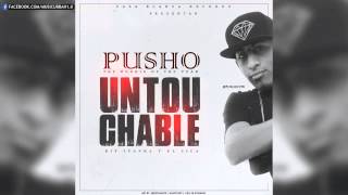 Pusho - Untouchable (Tiraera Pa El Sica y Juanka El Problematik) REGGAETON 2014