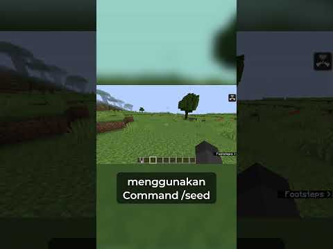 Hi Riky - How to find out our world seed in Minecraft Java Edition