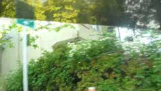 diamond dancer - long distance relationships rarely work out