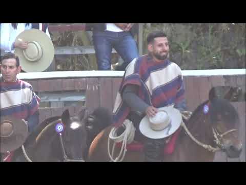 Champion Club Hualqui Asociación Concepción 2 Noviembre 2025