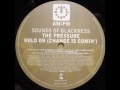 Sounds Of Blackness ‎- Hold On (Change Is Comin') (Roger Troutman's Remix)