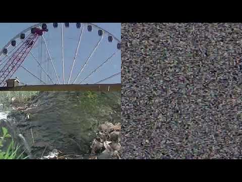 Dave!Ja!Vu! - Cold World (Official Music Video)