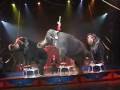 2008 Circus