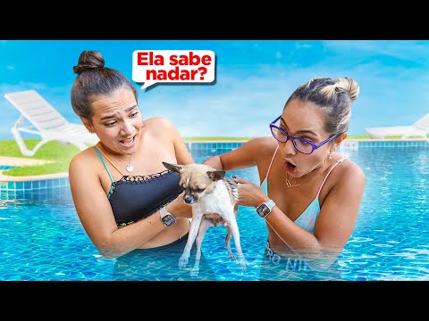 MINHA CACHORRINHA PODE NADAR? PRIMEIRA VEZ NA PISCINA.