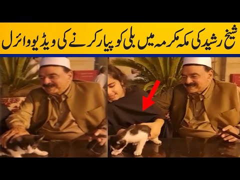 Video of Sheikh Rasheed playing with Cat in Makkah | Capital TV