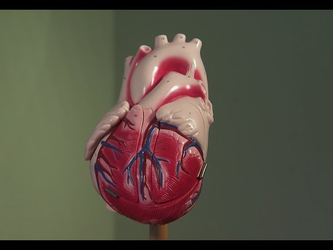 Vital healthy heart tips for women