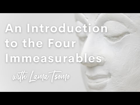 An Introduction to the Four Immeasurables with Lama Tsomo