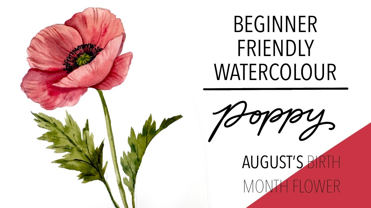 Paint August's Birth Month Flower With Me! The Poppy!