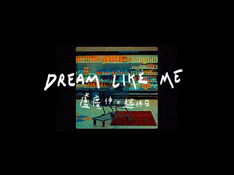 [ LYRICS 動態歌詞 ] DREAM LIKE ME - Crowd Lu X The Black Skirts (盧廣仲 X 趙休日)