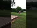 Mosquito helicopter fun