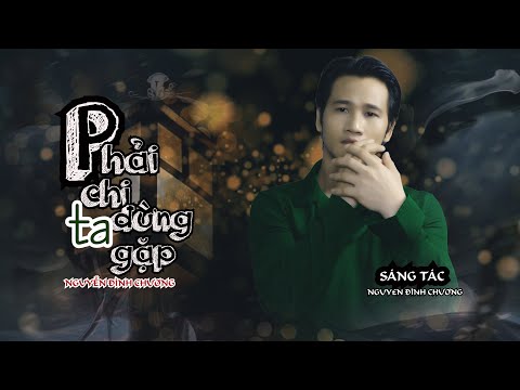 Phải chi ta đừng gặp Sheet - Nguyễn Đình Chương