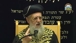 השיעור השבועי של מרן הראשל"צ הגאון רבי דוד יוסף  דברי חיזוק וביטחון לרגל המלחמה עם איראן אדר תשפ"ו (רבנים שונים) - התמונה מוצגת ישירות מתוך אתר האינטרנט יוטיוב. זכויות היוצרים בתמונה שייכות ליוצרה. קישור קרדיט למקור התוכן נמצא בתוך דף הסרטון