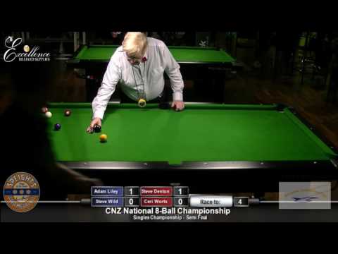 Singles Semi Final's - CNZ National 8 Ball 2016