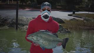 Bassmaster Fishing 2022 Lake Hartwell online open round 2!!!