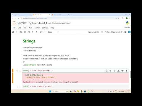 Python Tutorial 4 Literals Numbers