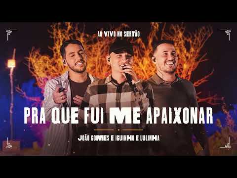 PRA QUE FUI ME APAIXONAR - João Gomes e Iguinho e Lulinha ( Audio Official )