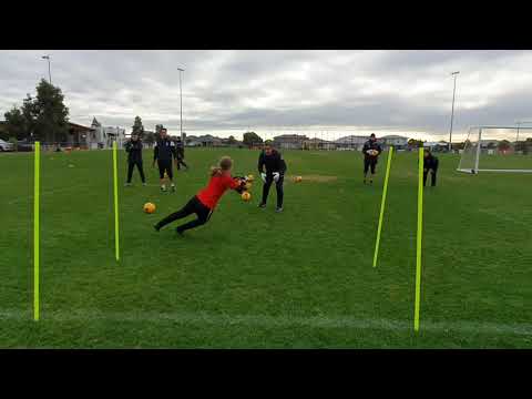 Emma Swift Goalkeeper Training with Tony Parks