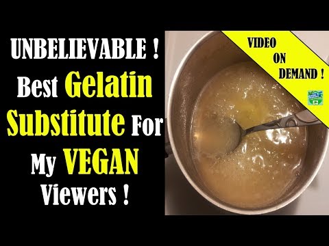 Best Gelatin Substitute For VEGANS ! All You Need To...