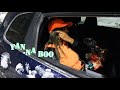 PICTURE ME ROLLING X KOCAIN KUSHFACE X YANNA BOO PROMO VIDEO