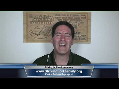 3 - School of Biblical Hermeneutics, Study Bibles