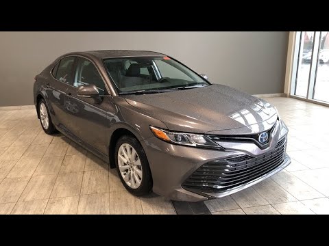 2020 Toyota Camry Hybrid LE | Toyota Northwest Edmonton | 0CH2390