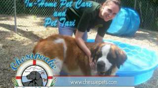 preview picture of video 'Chesapeake Pet Resort & Day Spa Hollywood, MD'