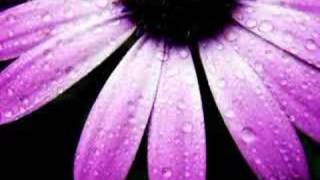 PJ Harvey - This Mess We&#39;re In